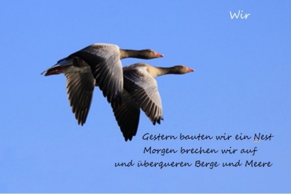 Bildgedicht: Wir