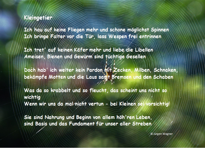 Bildgedicht: Kleingetier