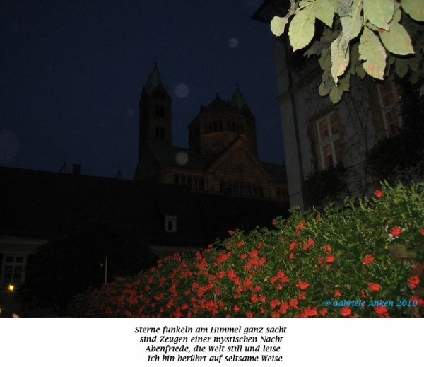 Bildgedicht: Speyerer Dom bei Nacht