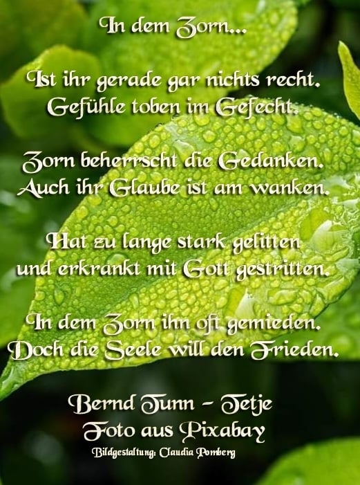 Bildgedicht: In dem Zorn...