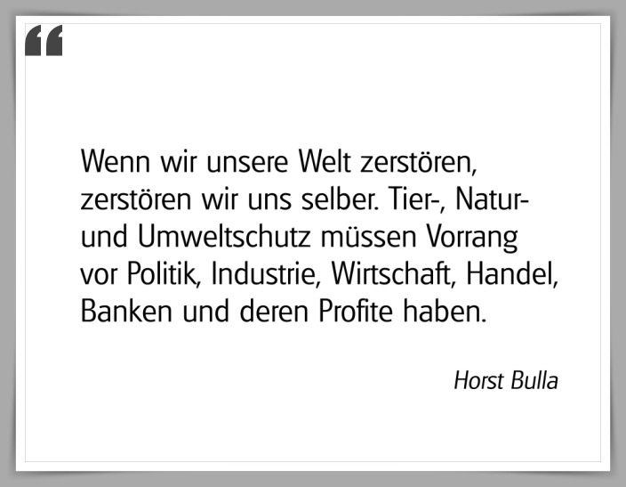 Bildgedicht: "Wenn wir unsere Welt zerstören"