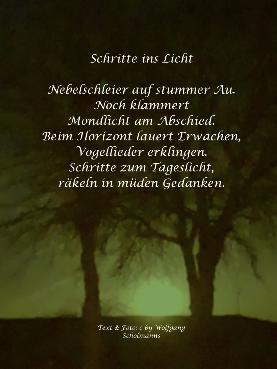 Bildgedicht: Schritte ins Licht