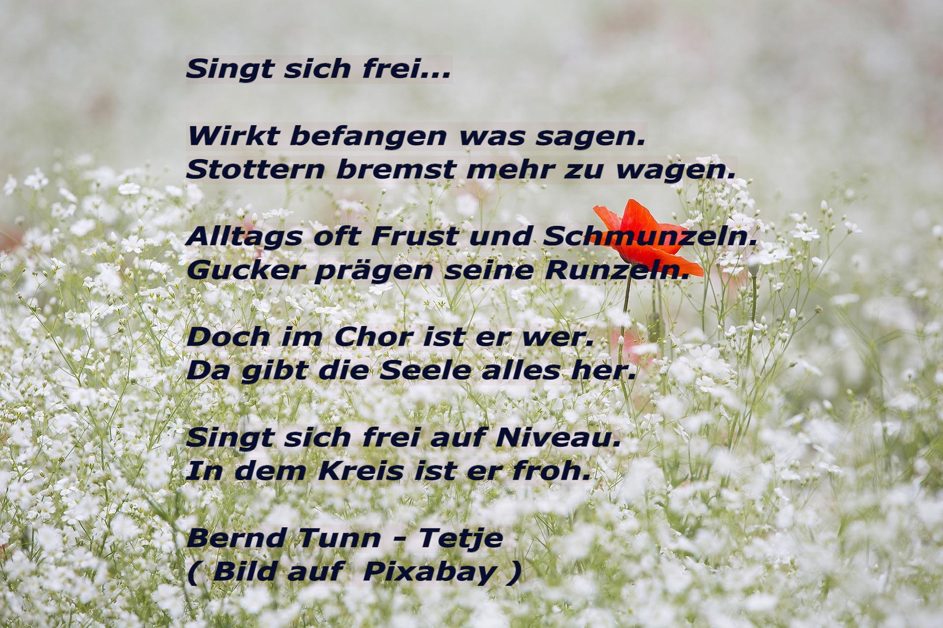 Bildgedicht: Singt sich frei...