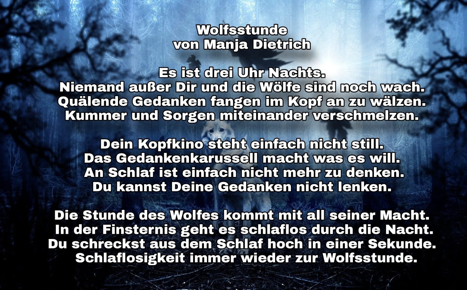 Bildgedicht: Wolfsstunde 