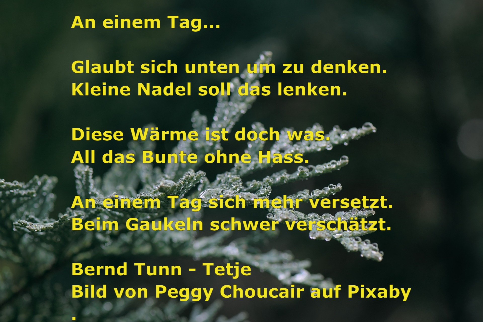 Bildgedicht: An Einem Tag...