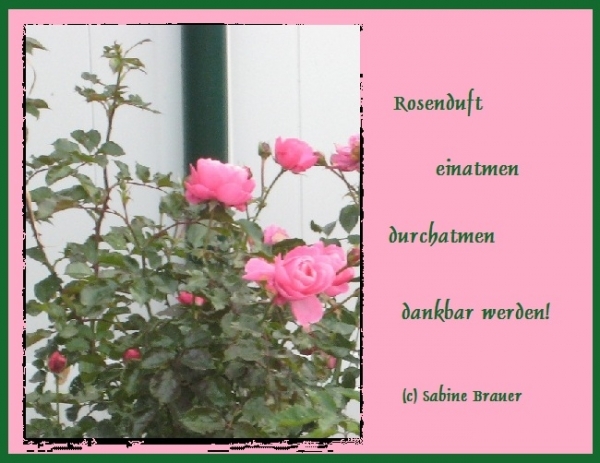 Bildgedicht: Rosenduft