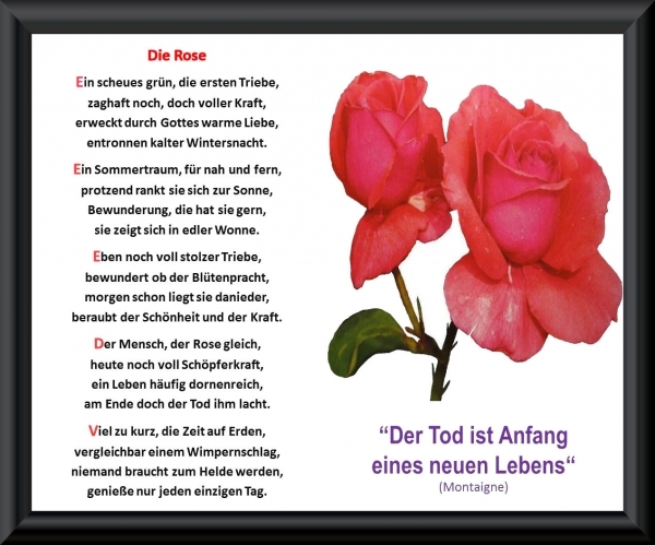 Bildgedicht: Die Rose