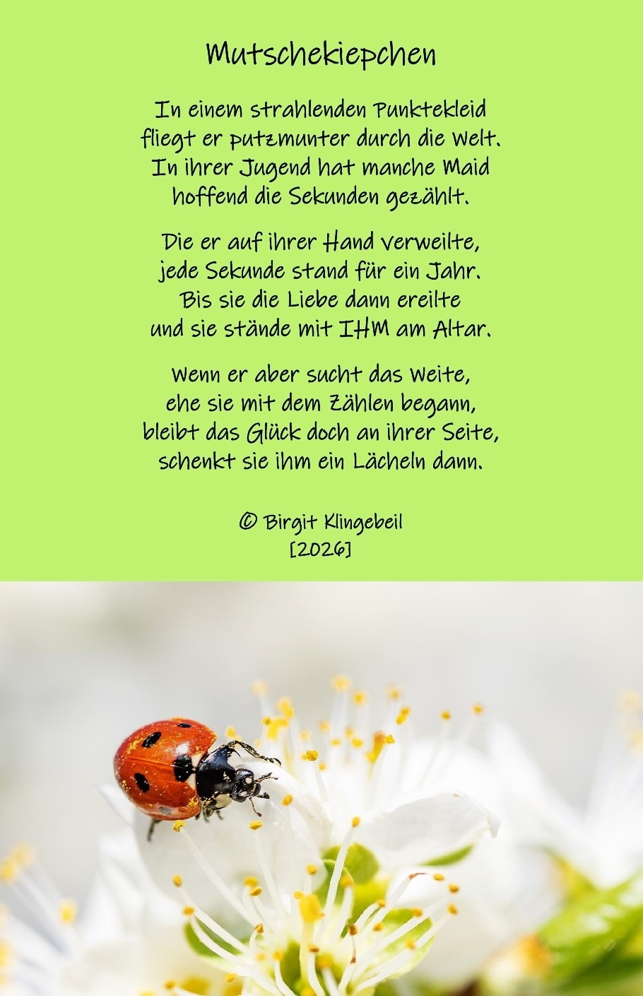 Bildgedicht: Mutschekiepchen