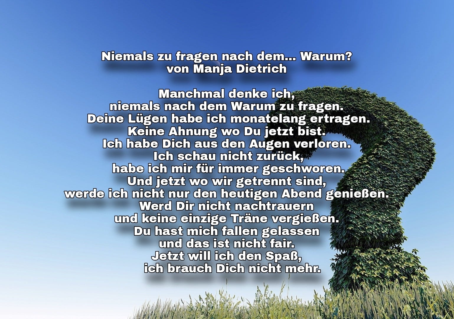 Bildgedicht: Niemals zu fragen nach dem... Warum? 