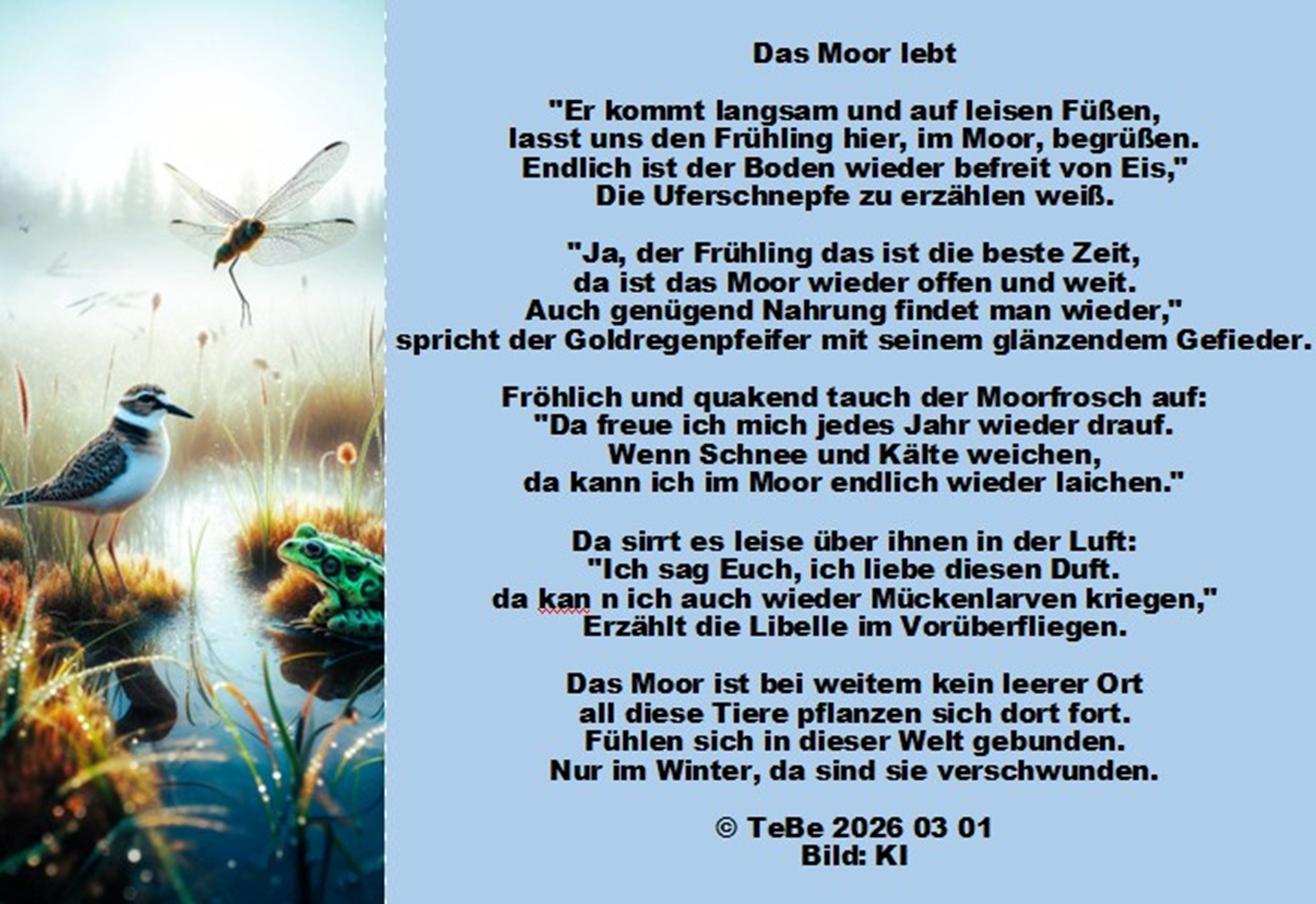 Bildgedicht: Das Moor lebt