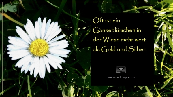 Bildgedicht: Gänseblümchen