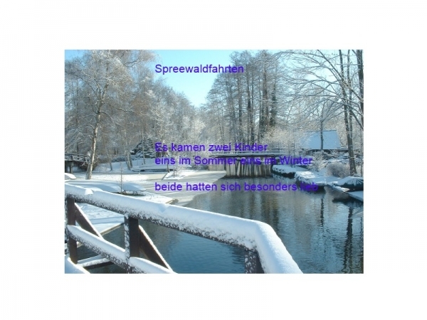 Bildgedicht: Winterspreewald