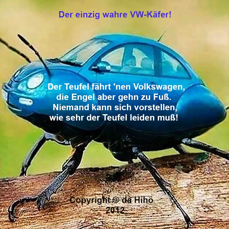 Bildgedicht: Der wahre VW-Käfer