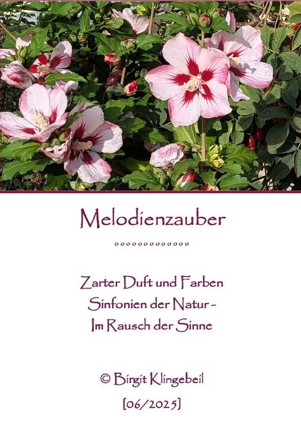 Bildgedicht: Melodienzauber