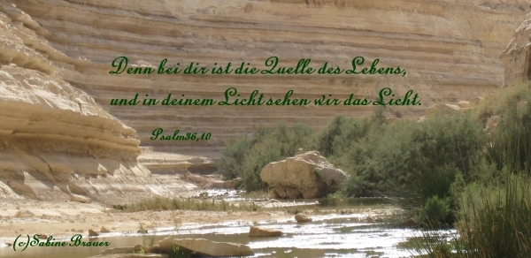 Bildgedicht: Psalm 36,10