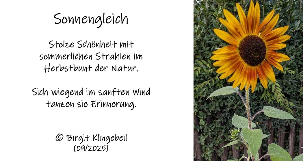 Bildgedicht: Sonnengleich