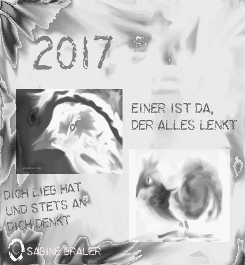 Bildgedicht: 2017