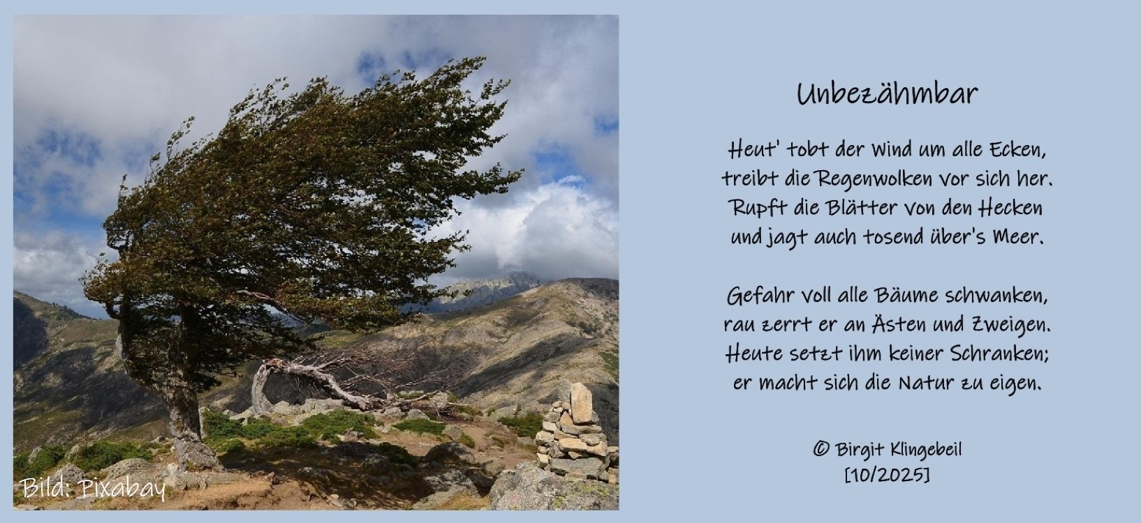 Bildgedicht: Unbezähmbar