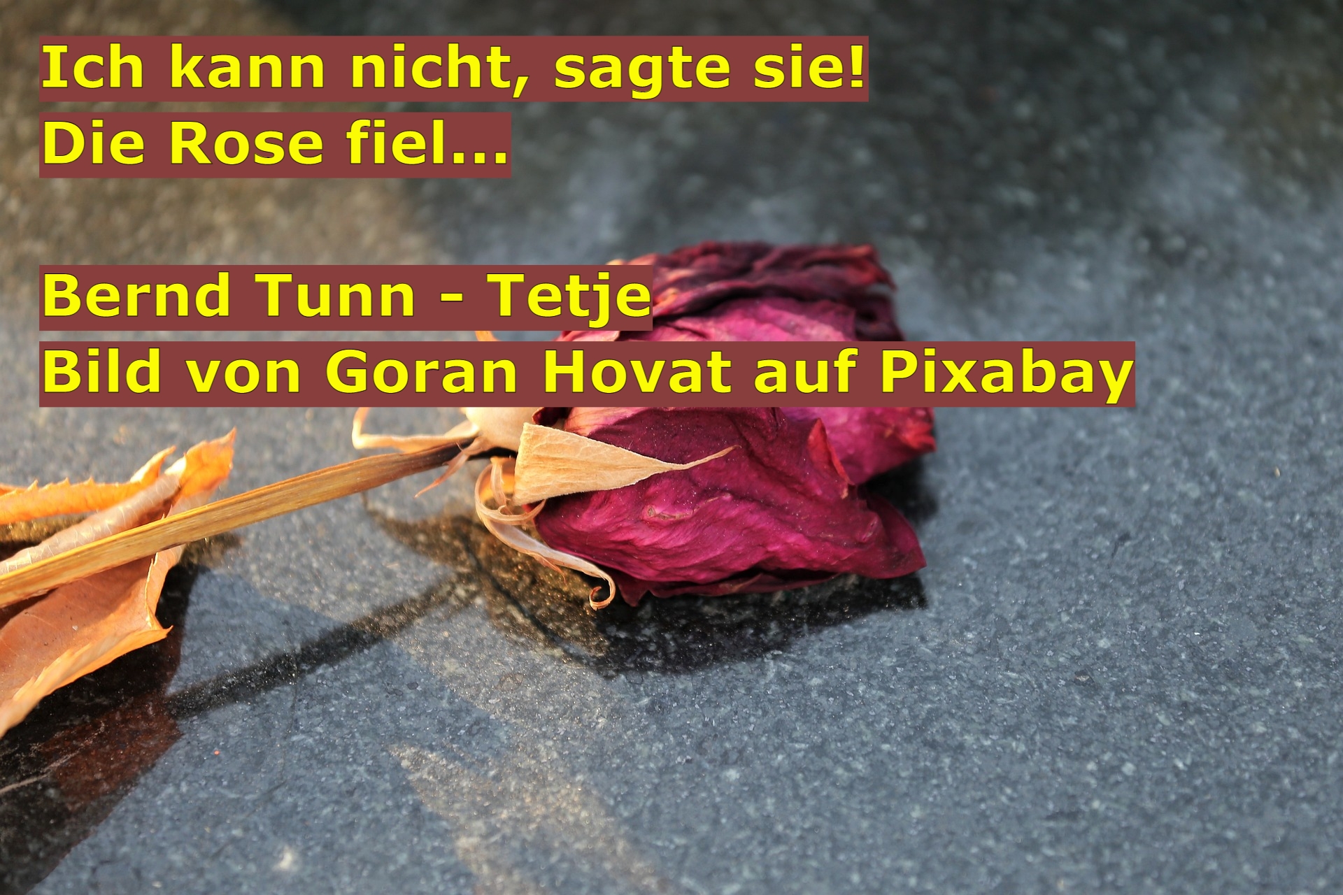 Bildgedicht: Die Rose fiel...