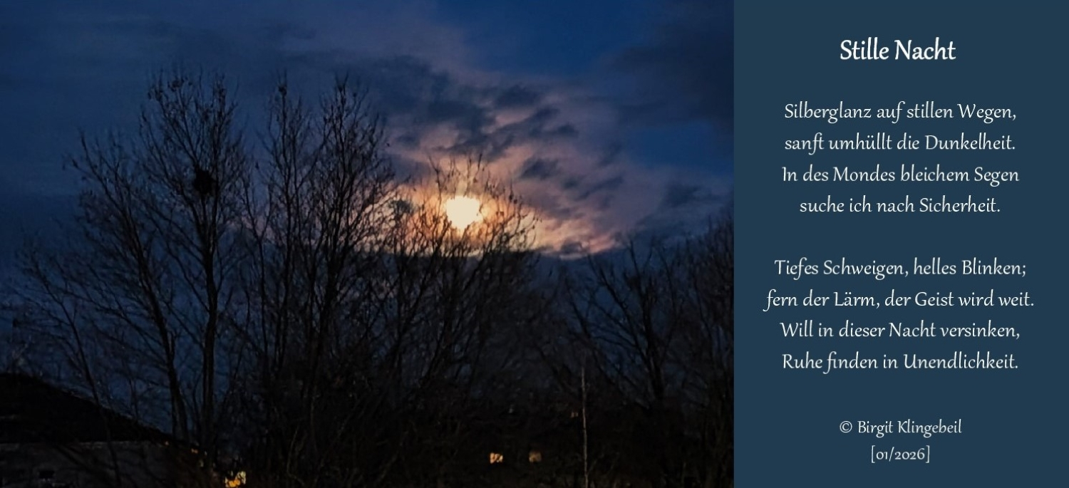 Bildgedicht: Stille Nacht