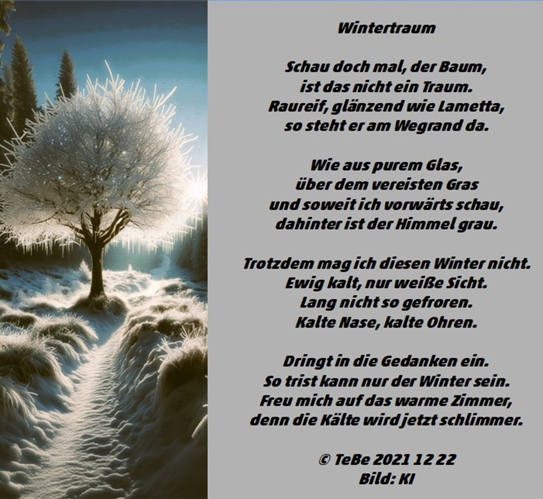 Bildgedicht: Wintertraum