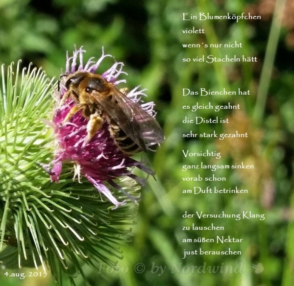 Bildgedicht: Bienenlust