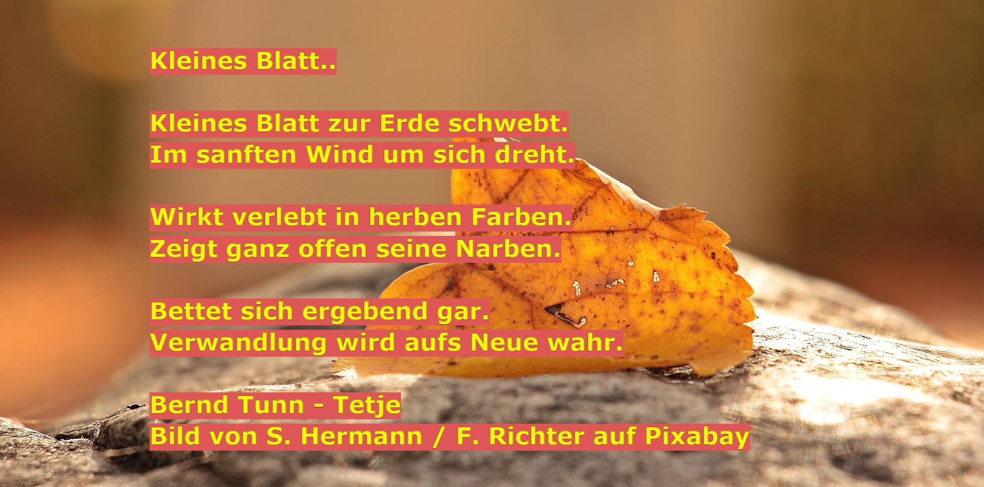 Bildgedicht: Kleines Blatt...