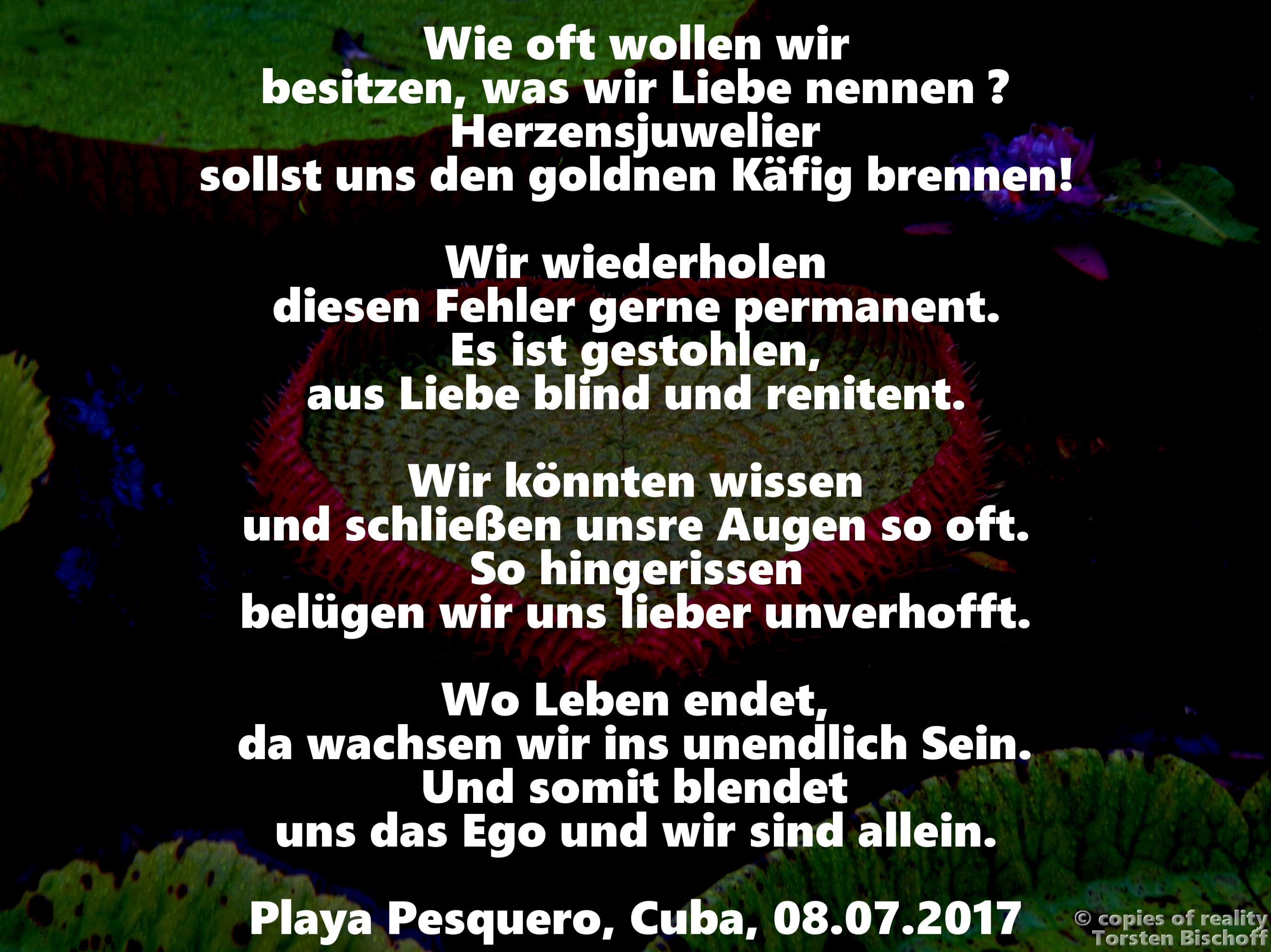 Bildgedicht: Liebe und Besitz