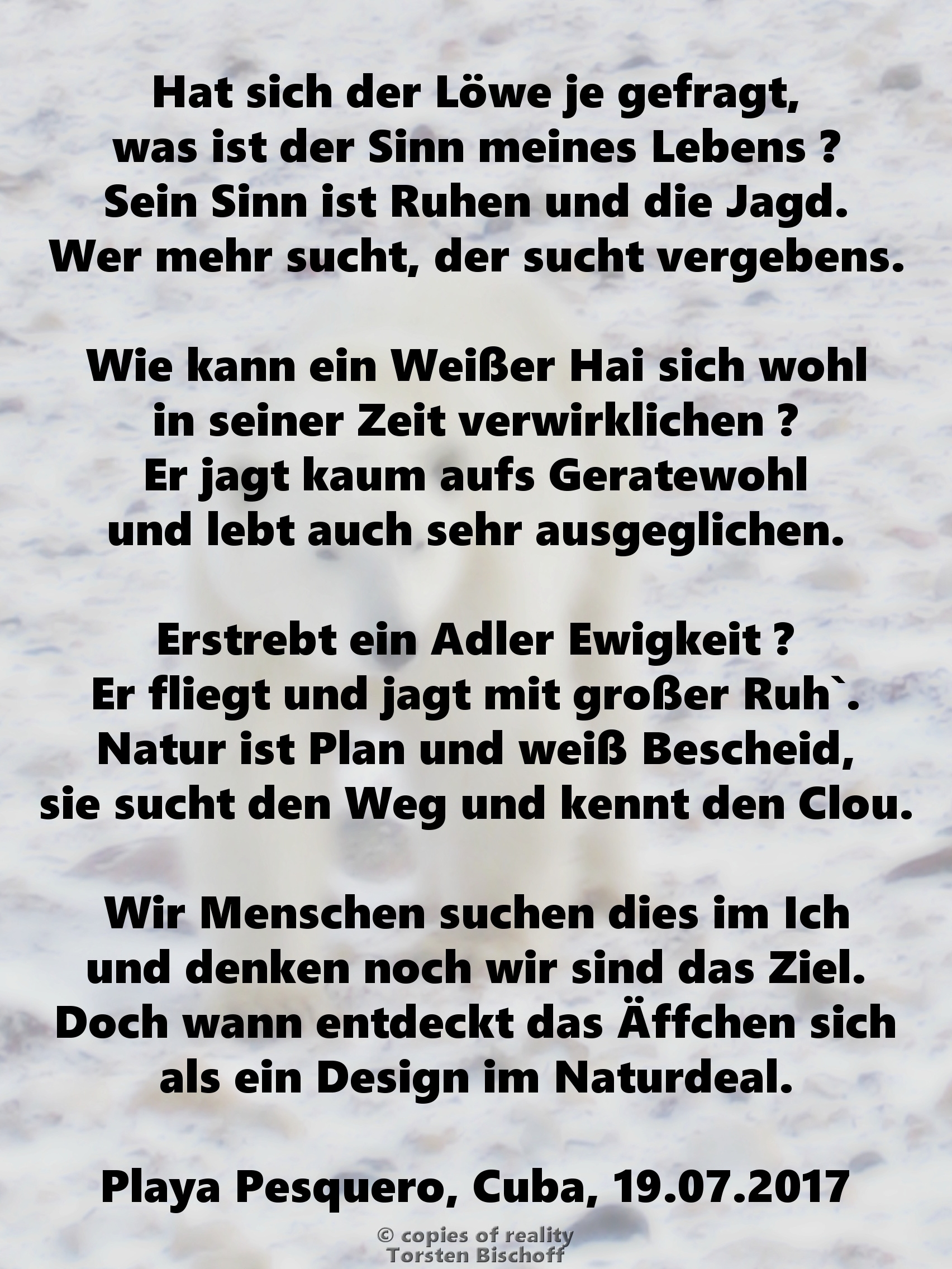 Bildgedicht: Sinn des Lebens