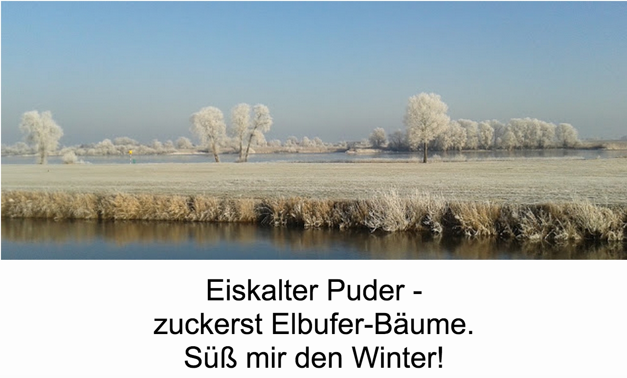 Bildgedicht: Winter-Elbe-Traum (Haiku)