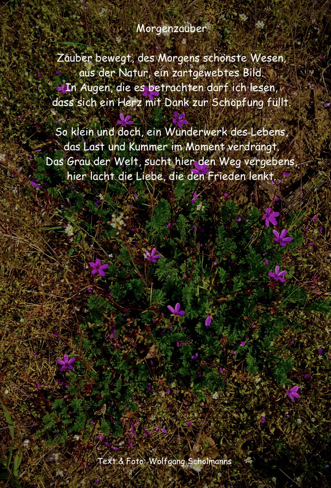 Bildgedicht: Morgenzauber