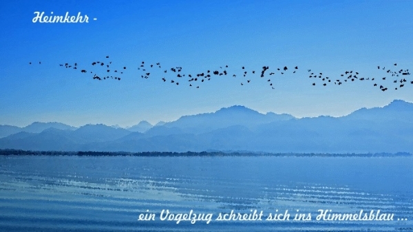 Bildgedicht: Heimkehr
