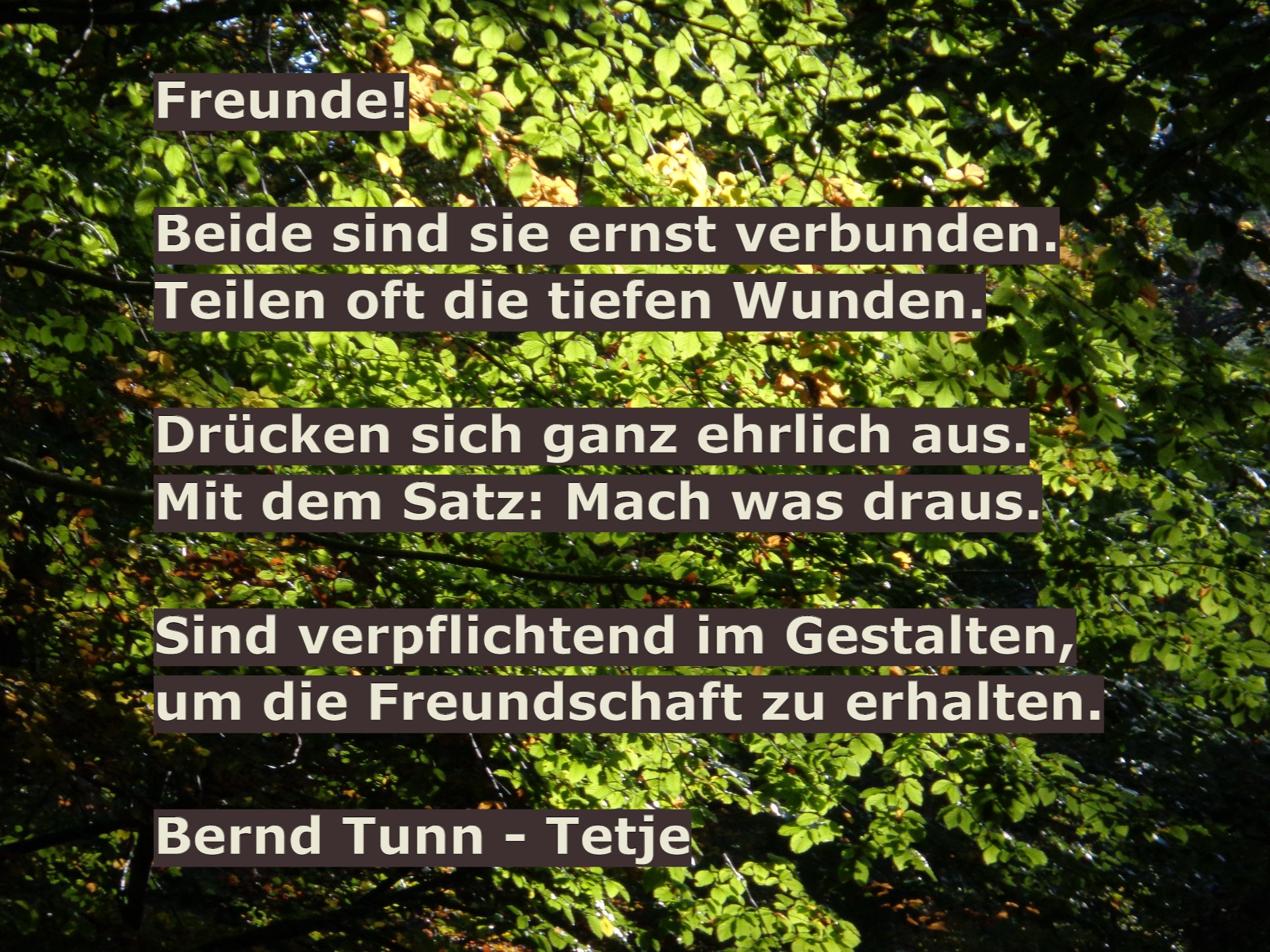 Bildgedicht: Freunde...