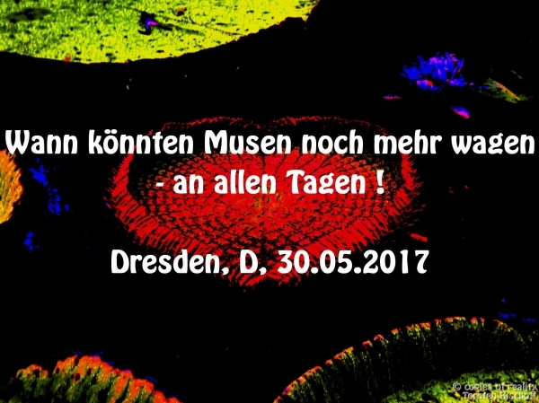 Bildgedicht: Musen-Trilogie II