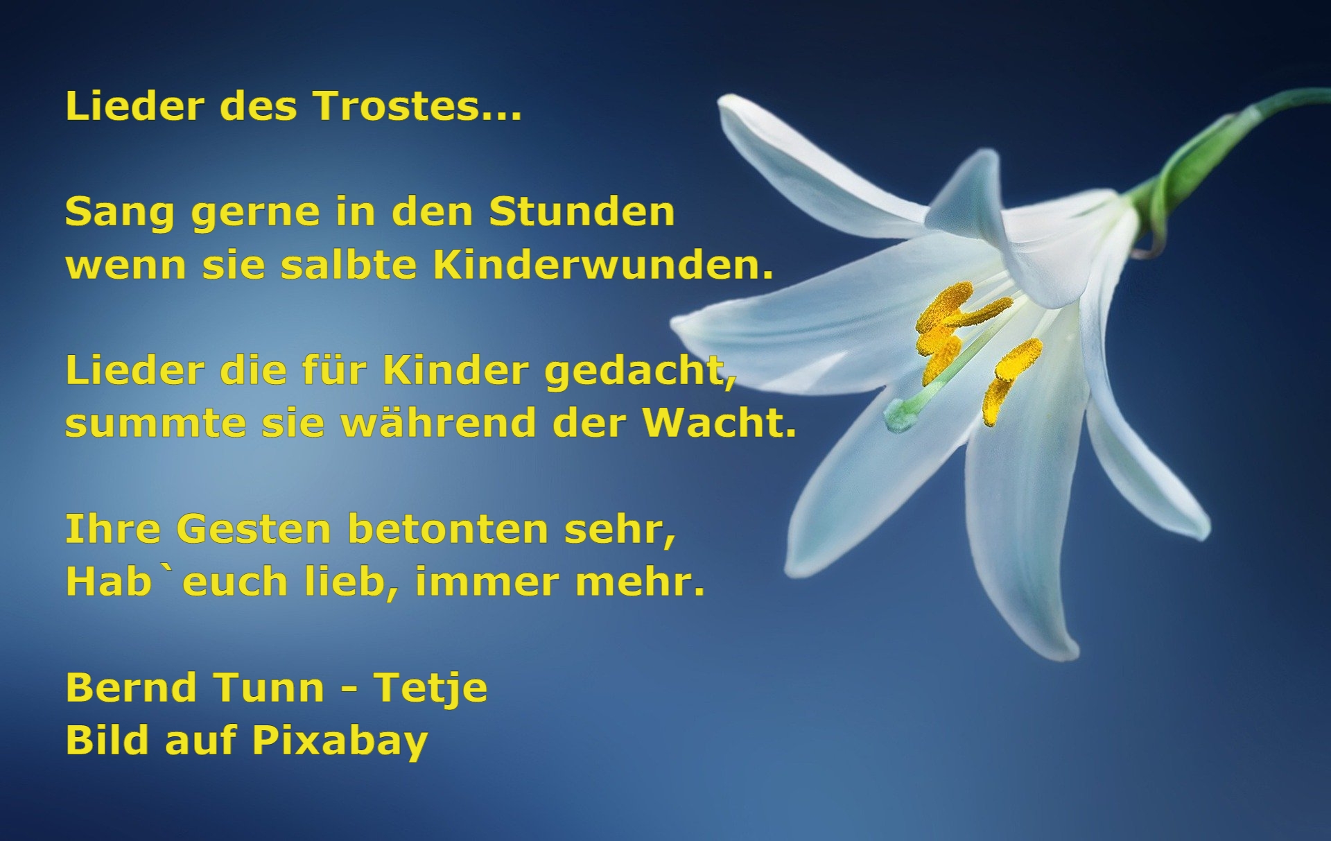 Bildgedicht: Lieder des Trostes...