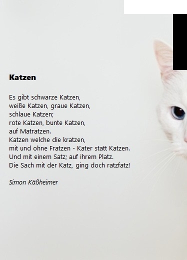 Bildgedicht: Katzen