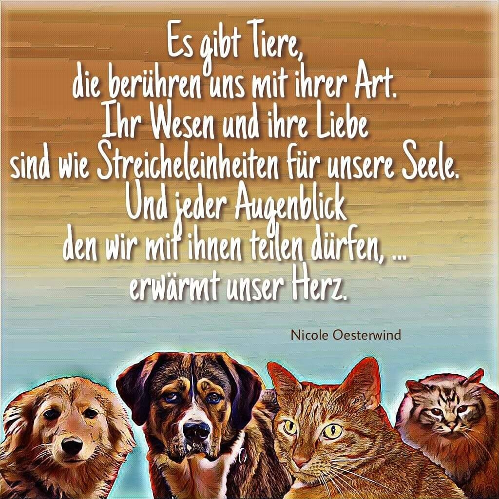 Bildgedicht: Es gibt Tiere