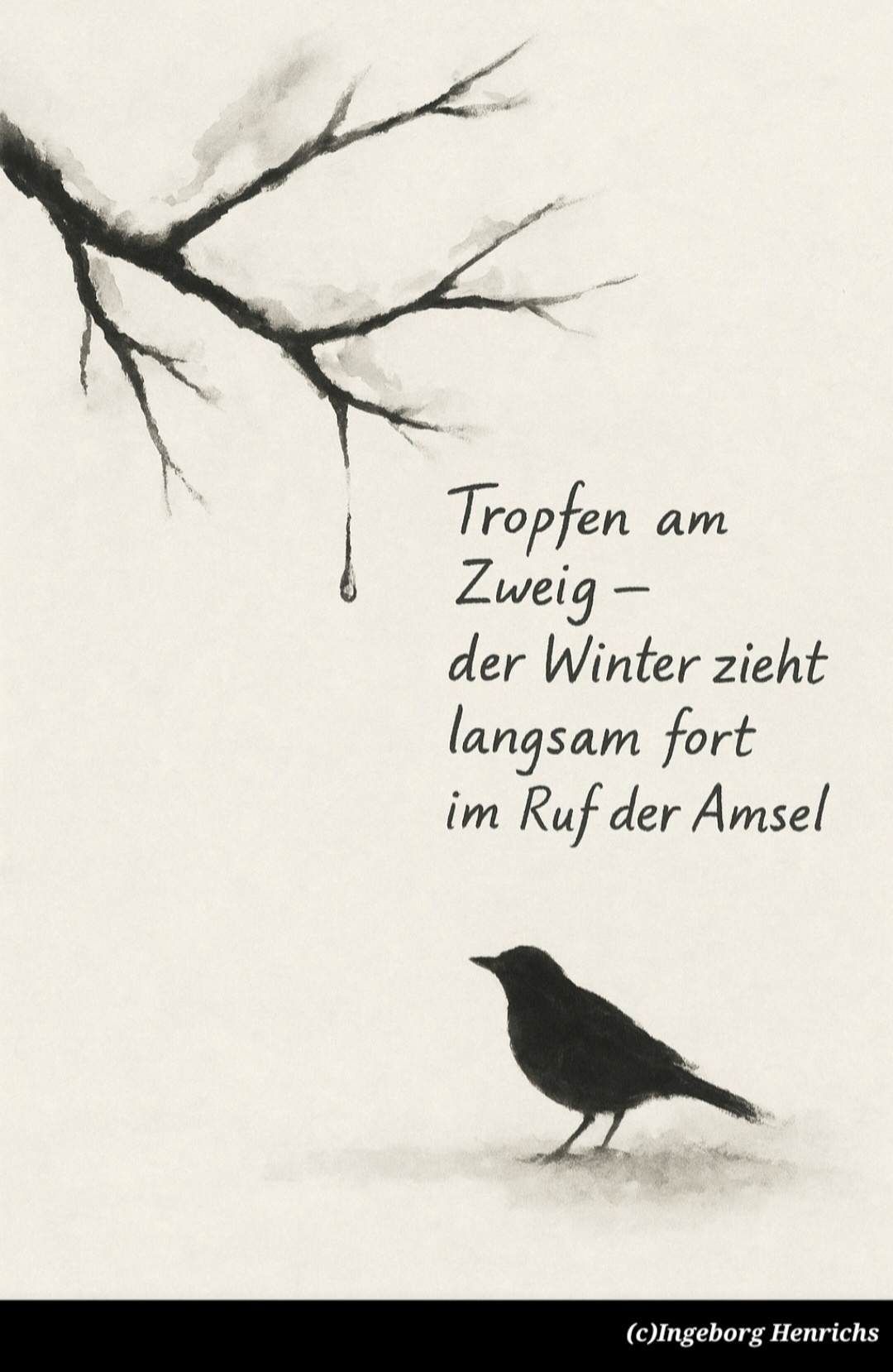 Bildgedicht: Amsel