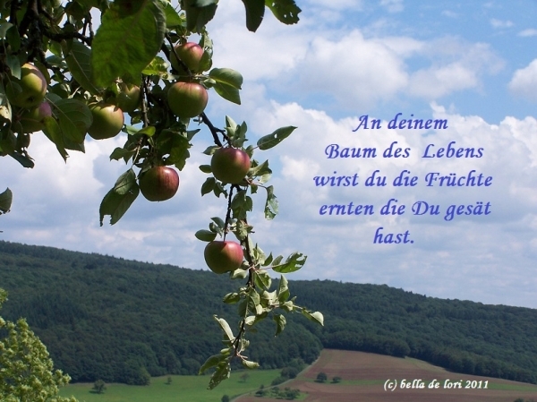 Bildgedicht: Die Früchte ...