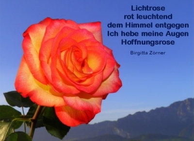 Bildgedicht: Lichtrose