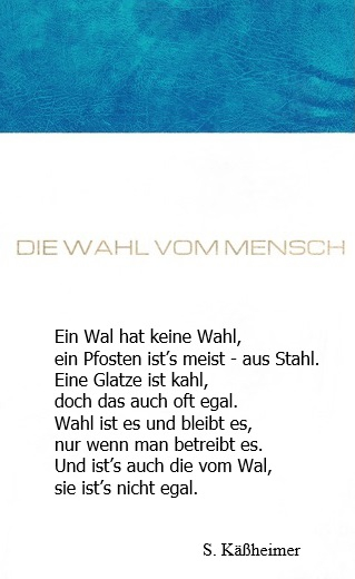 Bildgedicht: Die Wahl vom Mensch