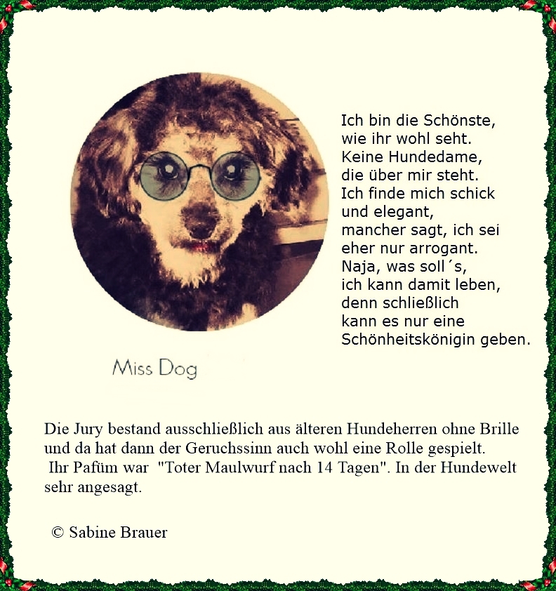 Bildgedicht: Miss Dog