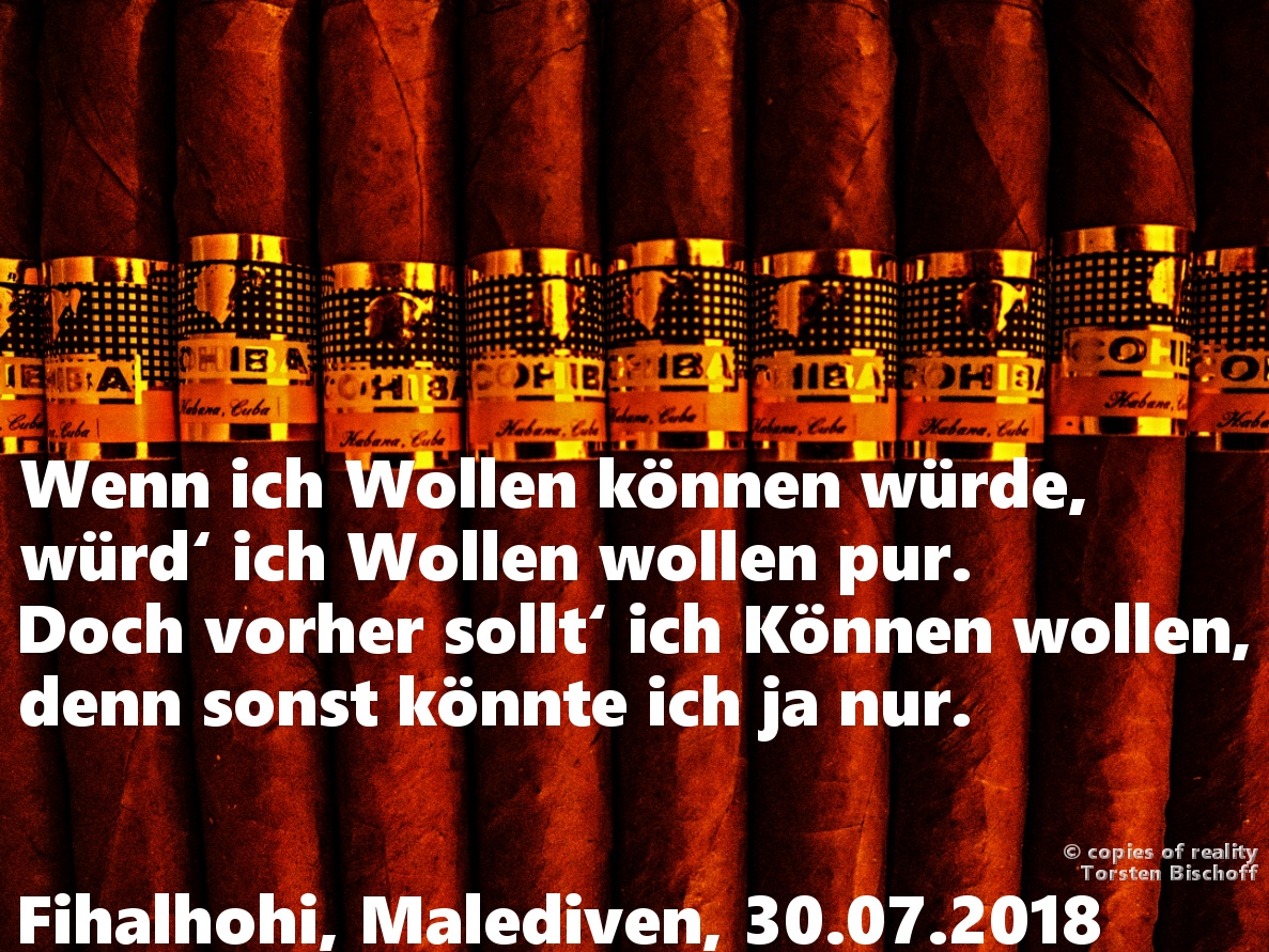 Bildgedicht: Wollen