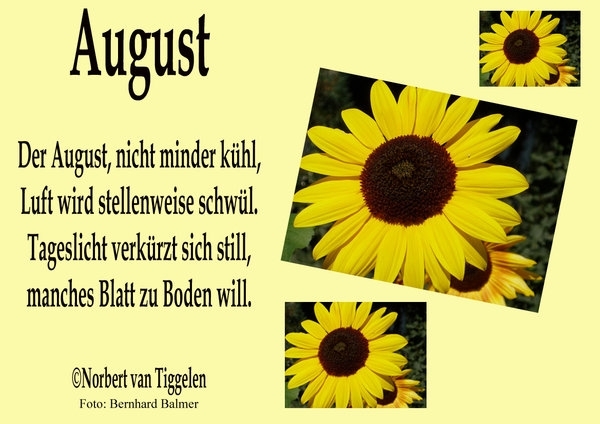 Bildgedicht: August