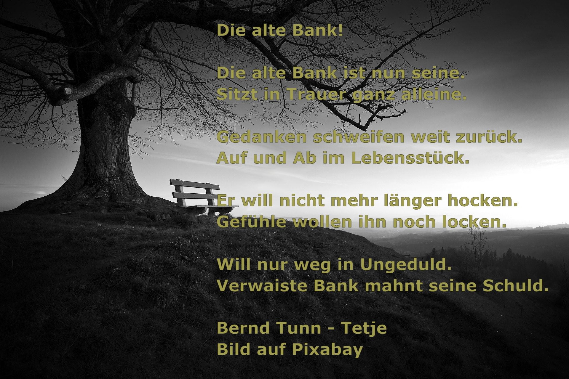 Bildgedicht: Die alte Bank!