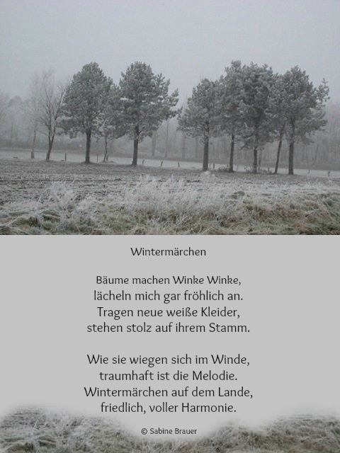 Bildgedicht: Wintermärchen