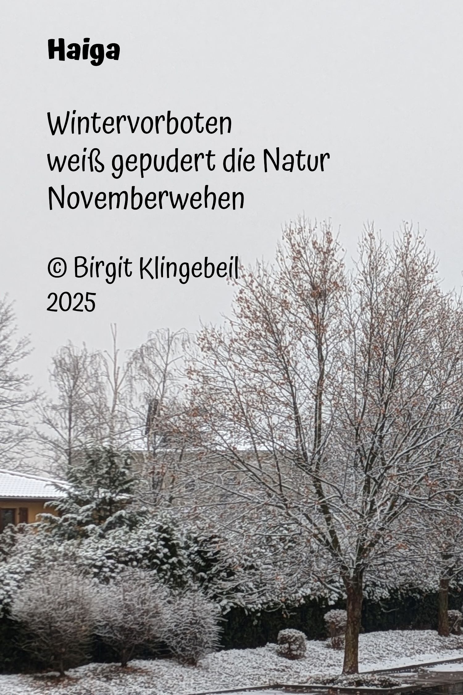 Bildgedicht: Wintervorboten