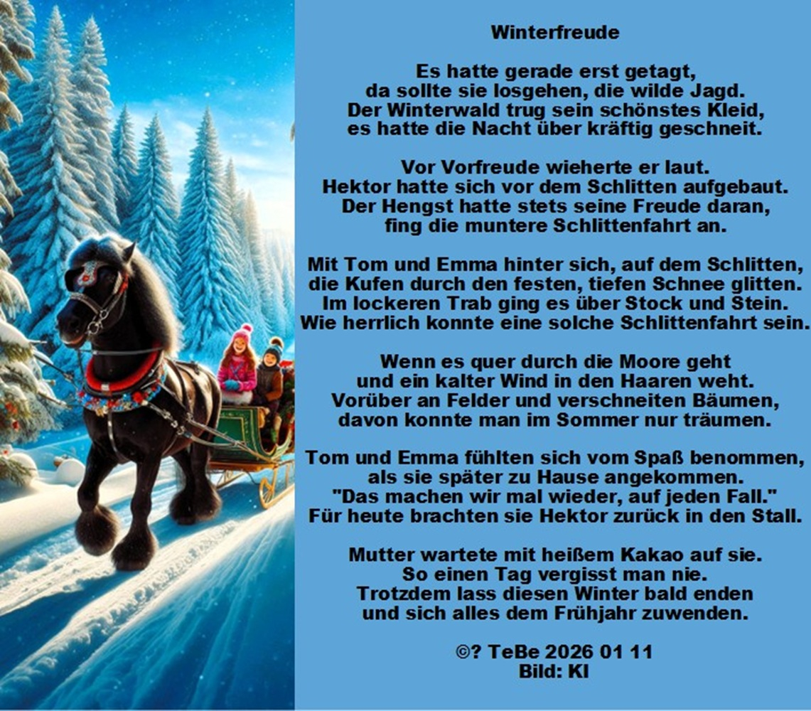 Bildgedicht: Winterfreude