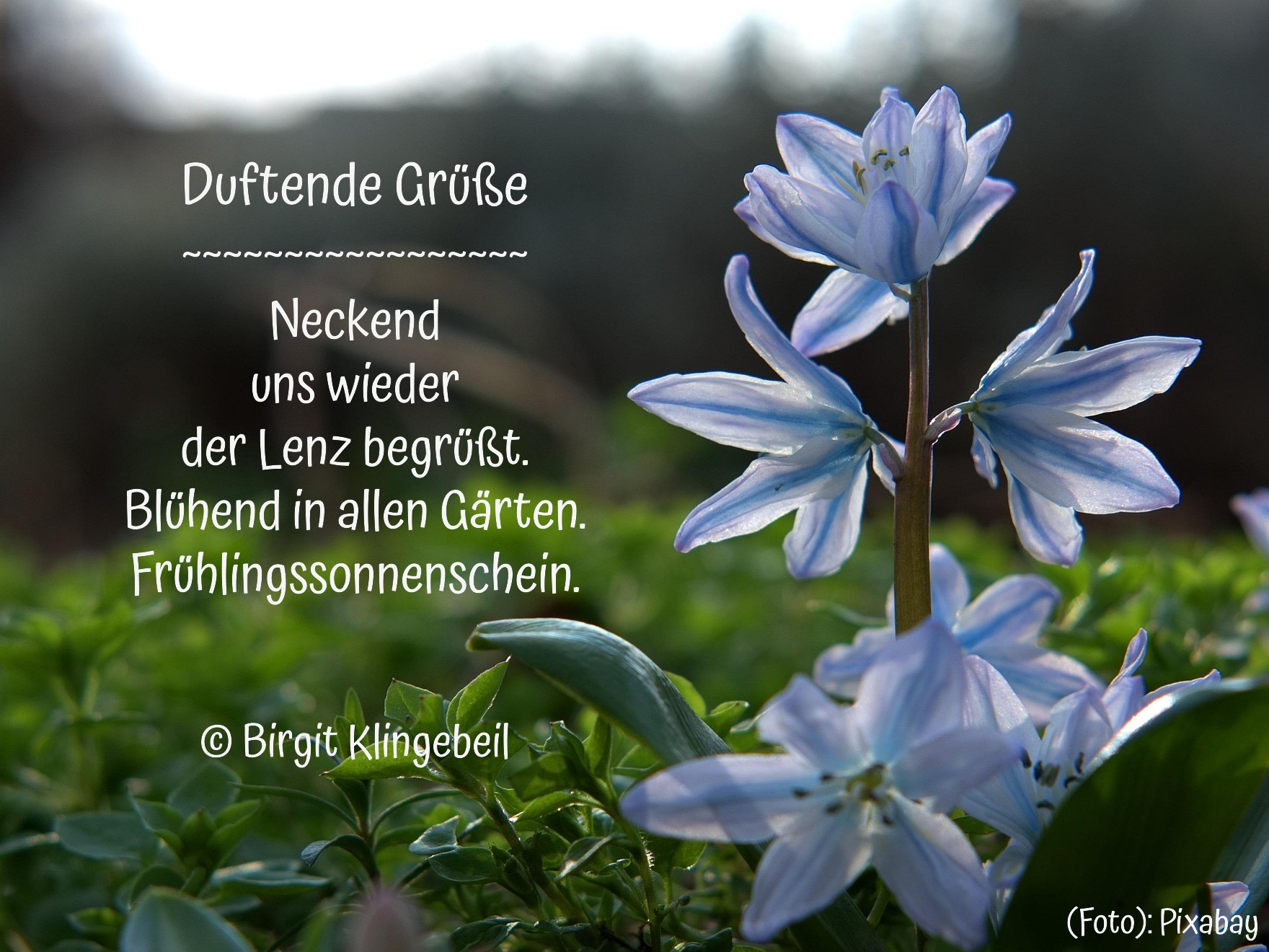 Bildgedicht: Duftende Gr&uuml;&szlig;e