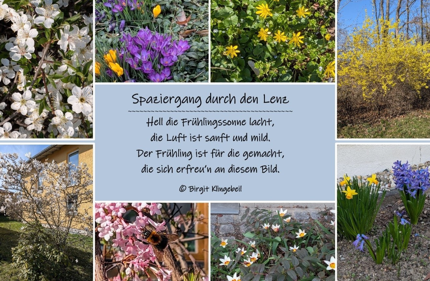 Bildgedicht: Lenzspaziergang